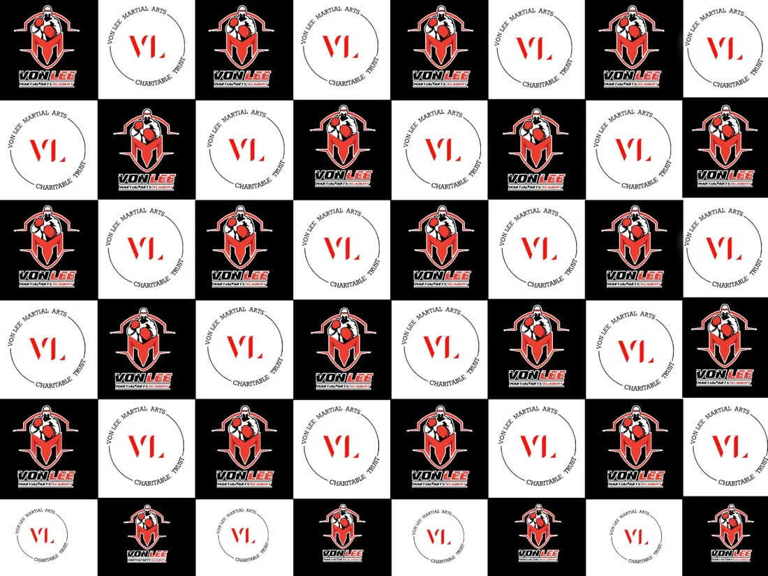 Vonlee Martial Arts Academy training