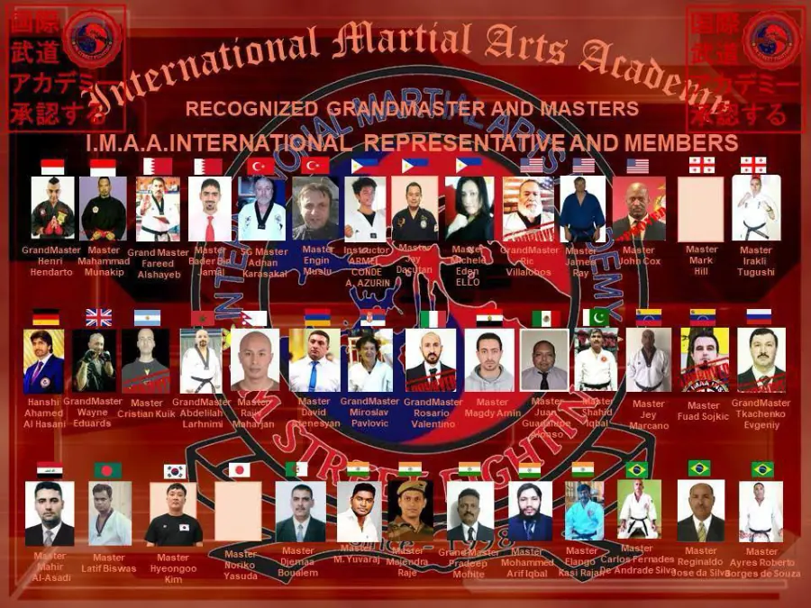 Vonlee Martial Arts Academy award and certification 9