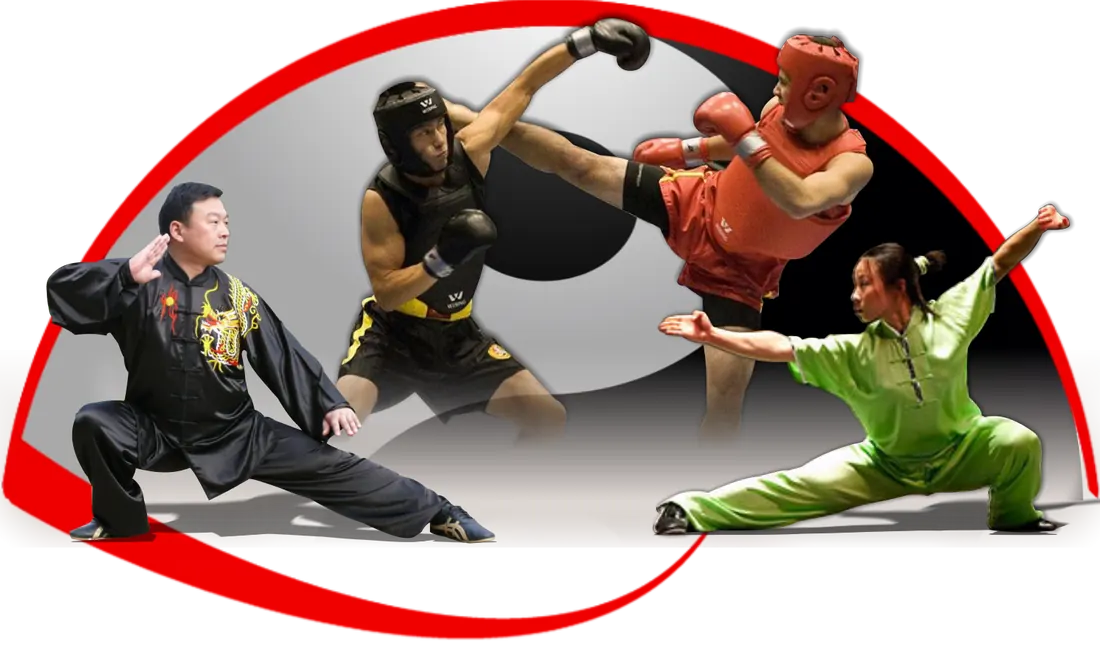 Wushu